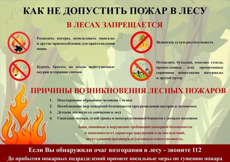 Как не допустить пожар в лесу.