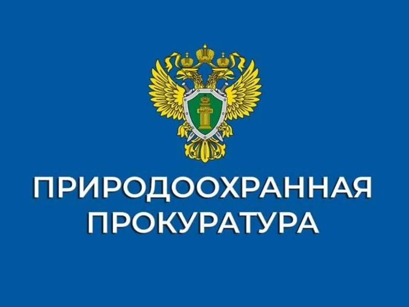 20.09.2024 Новгородская межрайонная природоохранная прокуратура проведет «горячую линию».