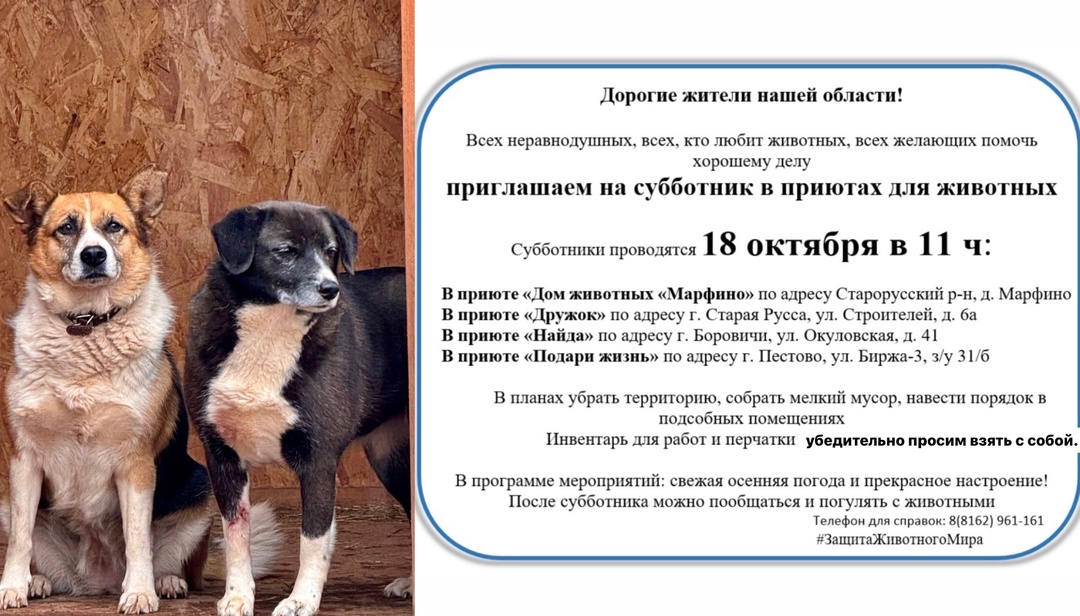 🐾🐕Приглашаем всех неравнодушных к животным на субботник!.