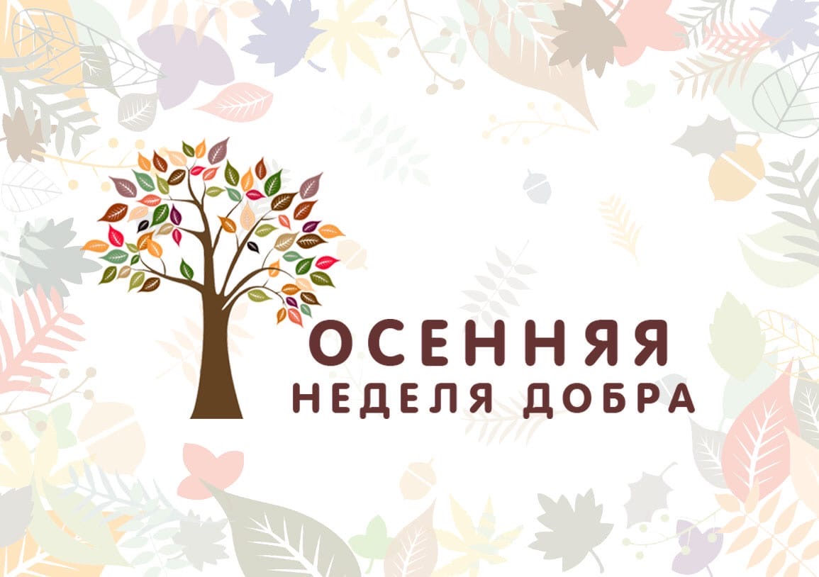 🍂ОСЕННЯЯ НЕДЕЛЯ ДОБРА🧡.